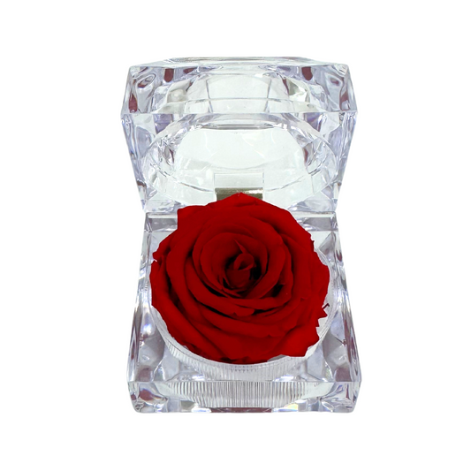 Mini Jewel Red Preserved Rose Gift Box