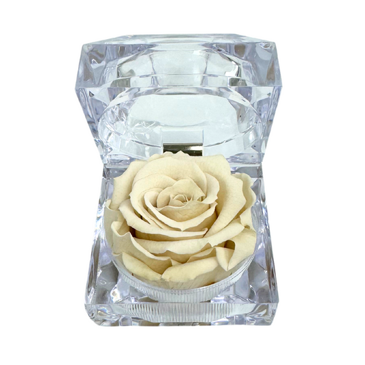 Mini Jewel Off White Preserved Rose Gift Box