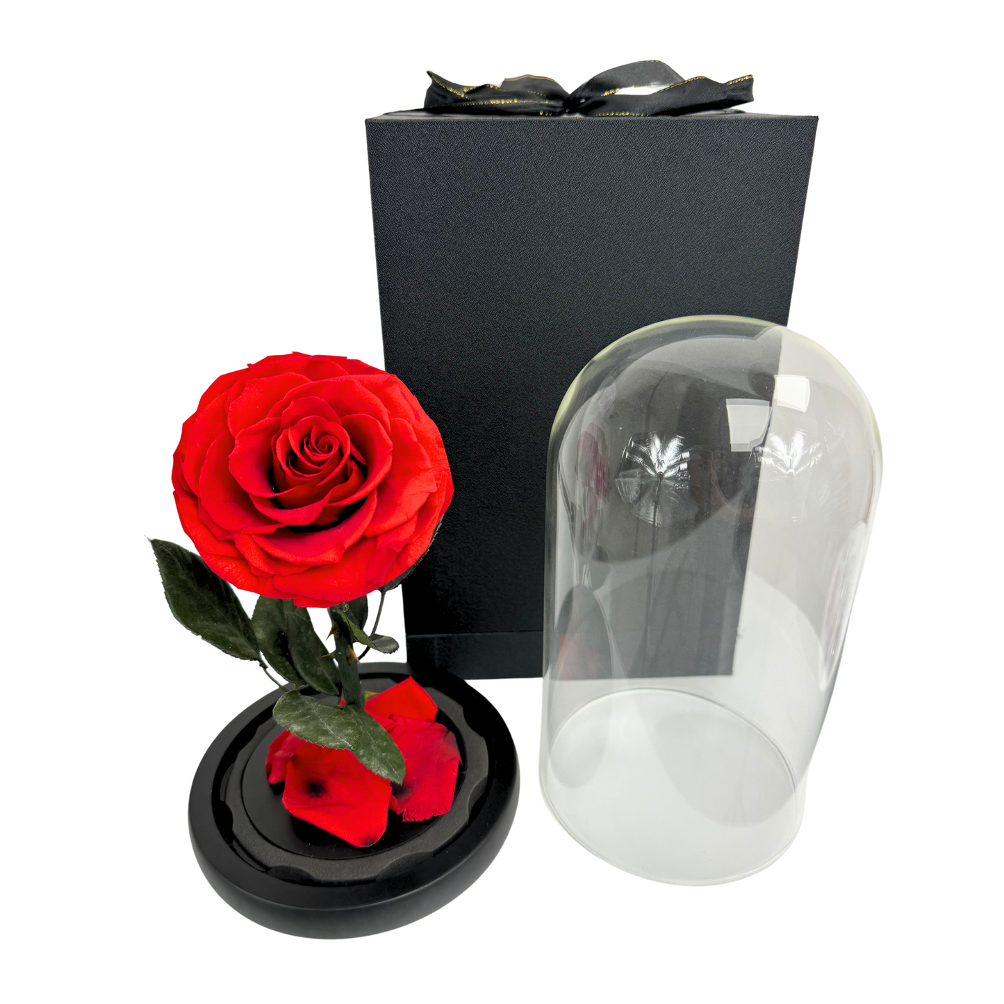 Enchanted Red Preserved Rose in Glass Dome