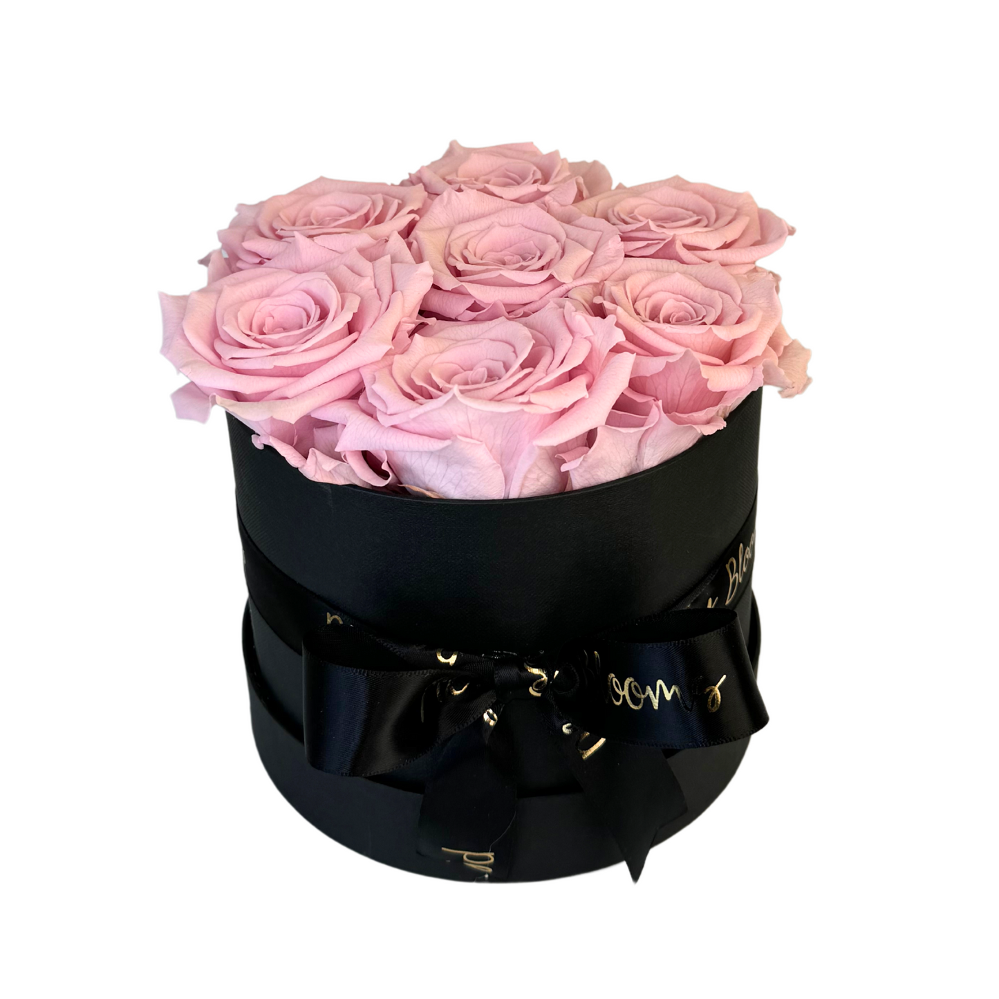 Light Pink Petite Preserved Roses Box