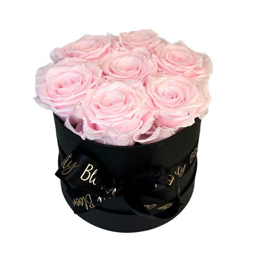 Blush Pink Petite Preserved Roses Box