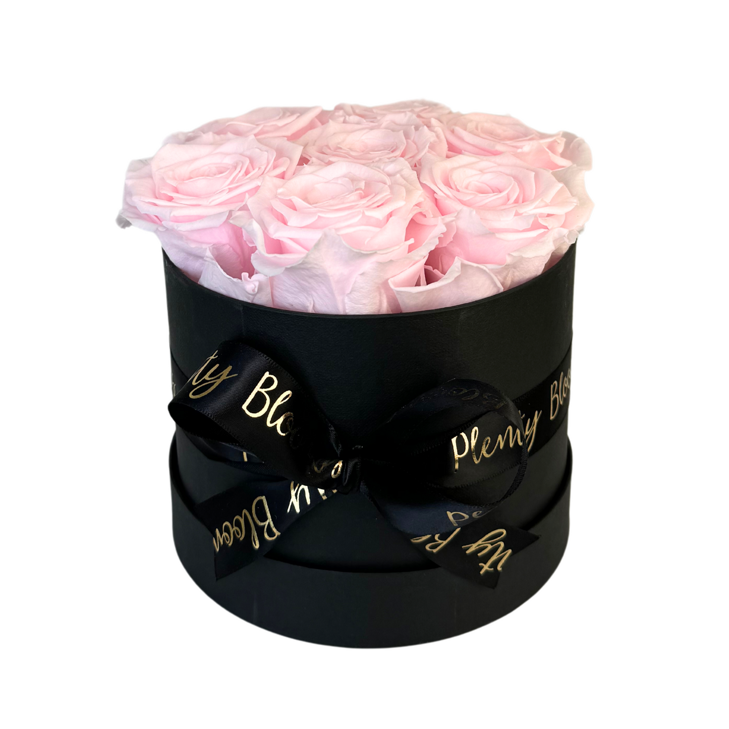 Blush Pink Petite Preserved Roses Box