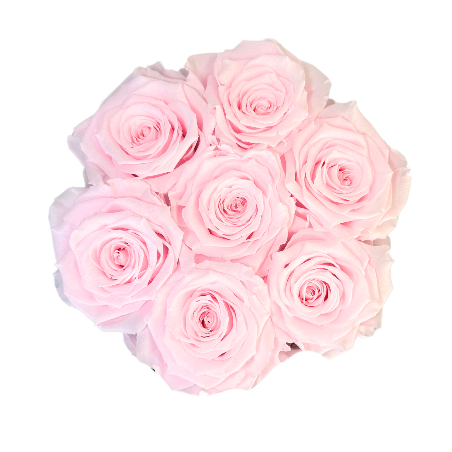 Blush Pink Petite Preserved Roses Box