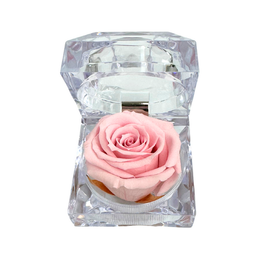 Mini Jewel Pink Preserved Rose Gift Box