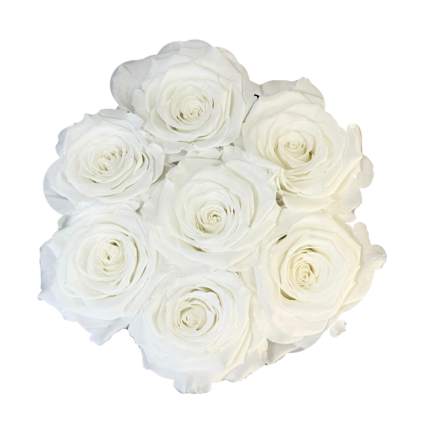 White Petite Preserved Roses Box