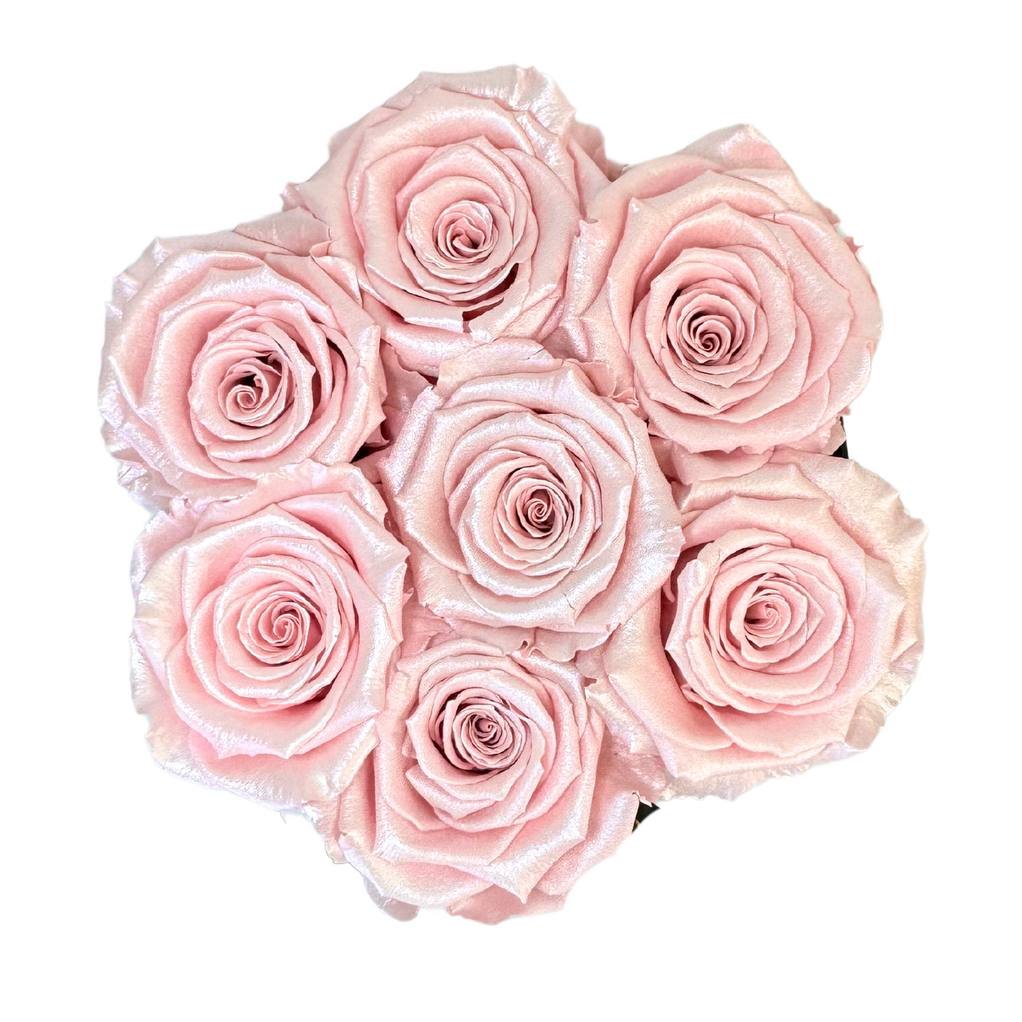 Pearl Pink Petite Preserved Roses Box