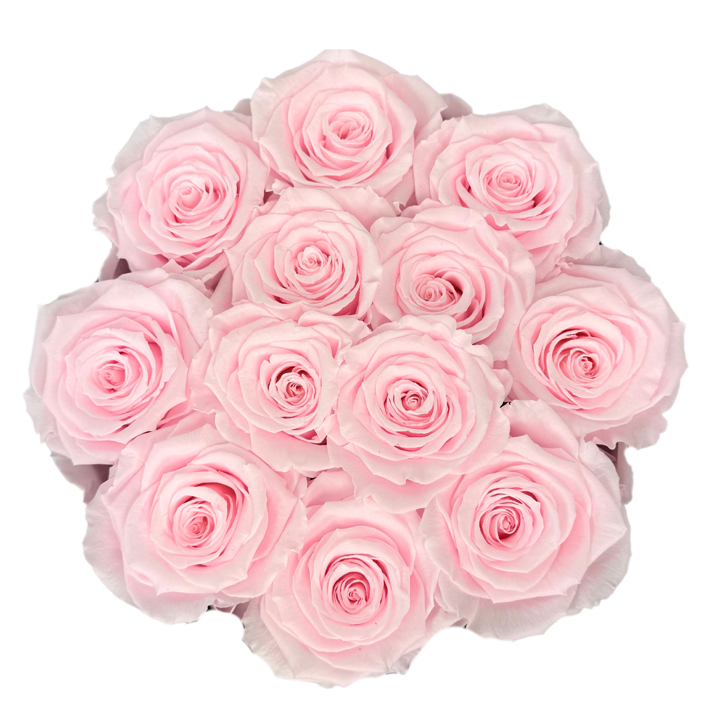 Blush Pink Signature Preserved Roses Box