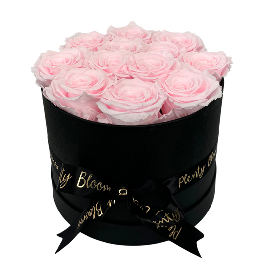 Blush Pink Signature Preserved Roses Box