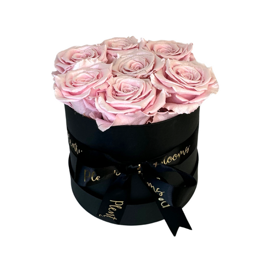 Pearl Pink Petite Preserved Roses Box