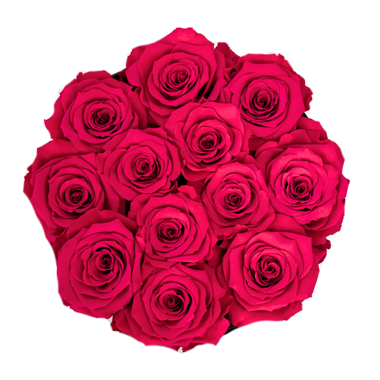 Hot Pink Signature Preserved Roses Box