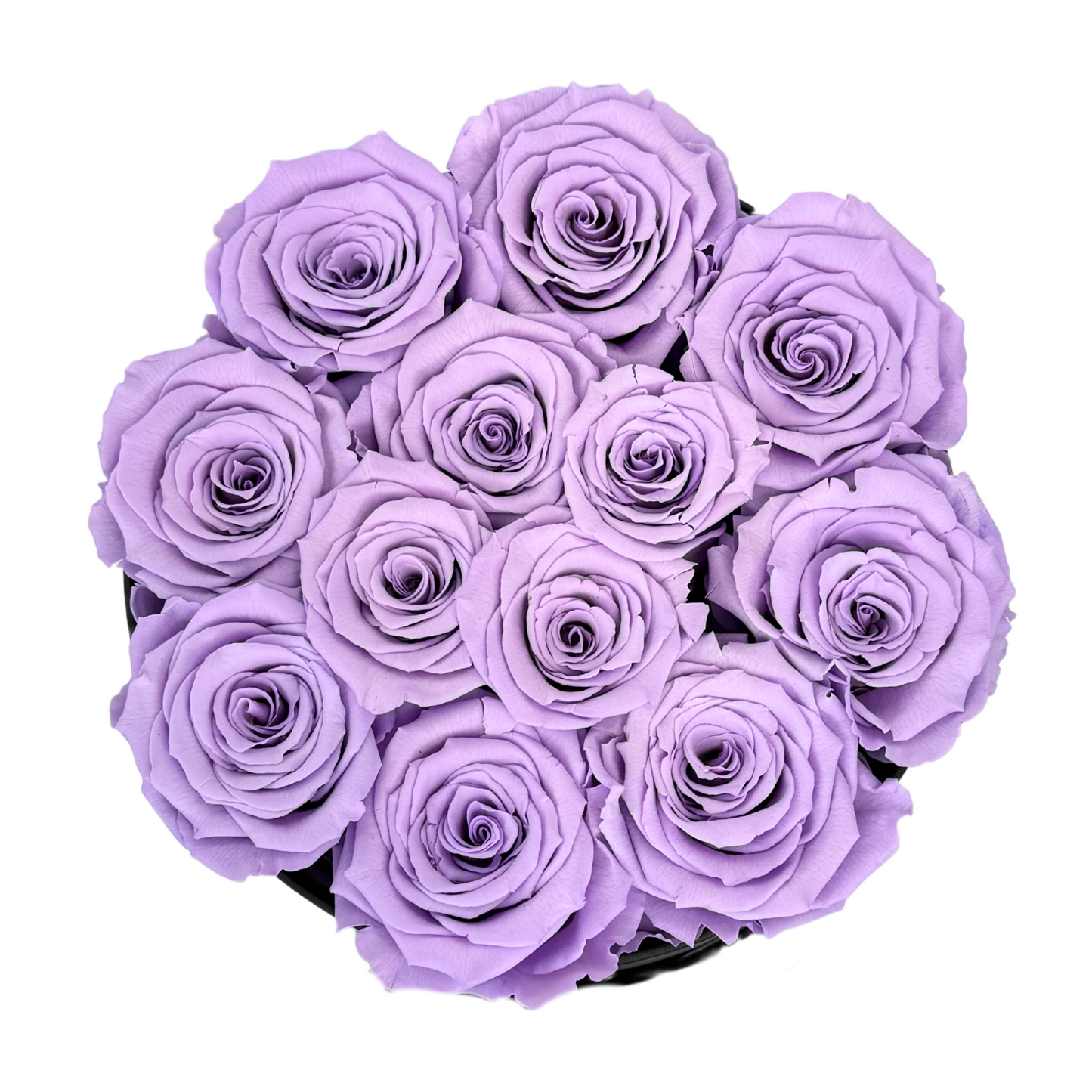 Lavender Signature Preserved Roses Box