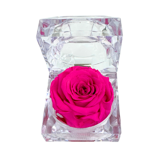 Mini Jewel Hot Pink Preserved Rose Gift Box