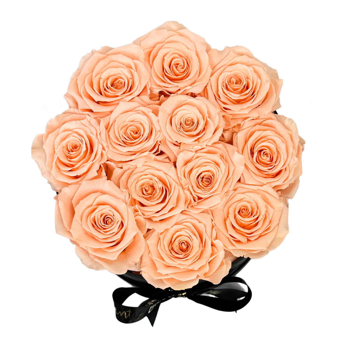 Peach Signature Preserved Roses Box