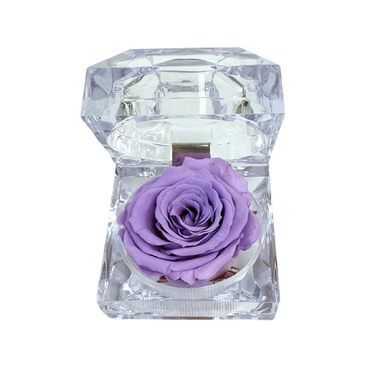 Mini Jewel Lavender Preserved Rose Gift Box