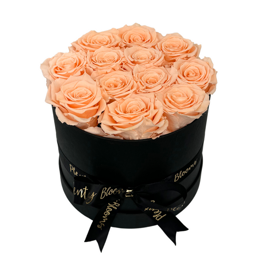 Peach Signature Preserved Roses Box