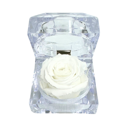 Mini Jewel White Preserved Rose Gift Box